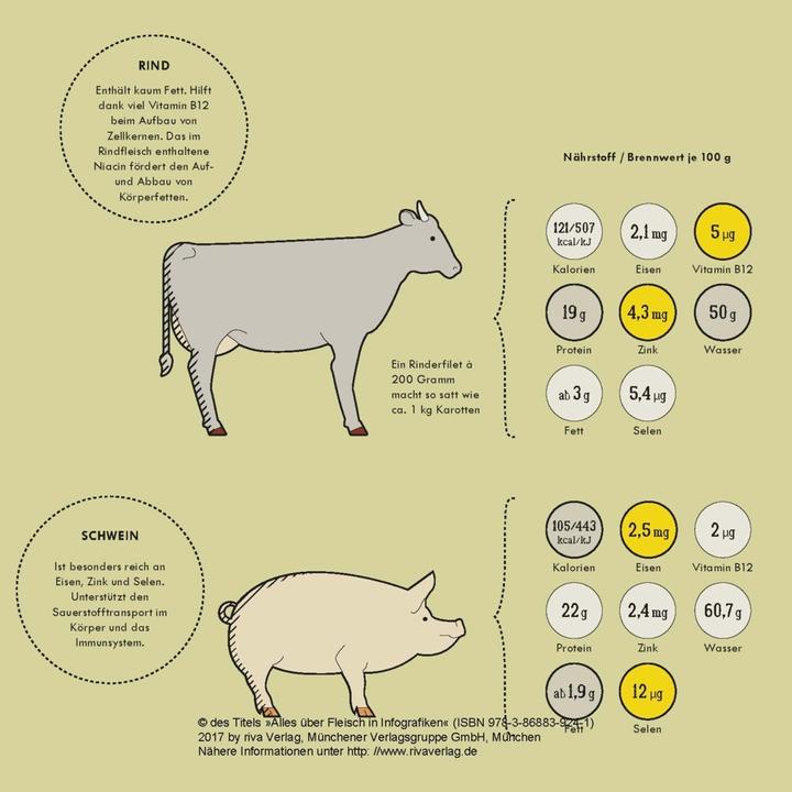 Produktbild Alles über Fleisch in Infografiken (Deutsch, Daniel Wiechmann, 2017)