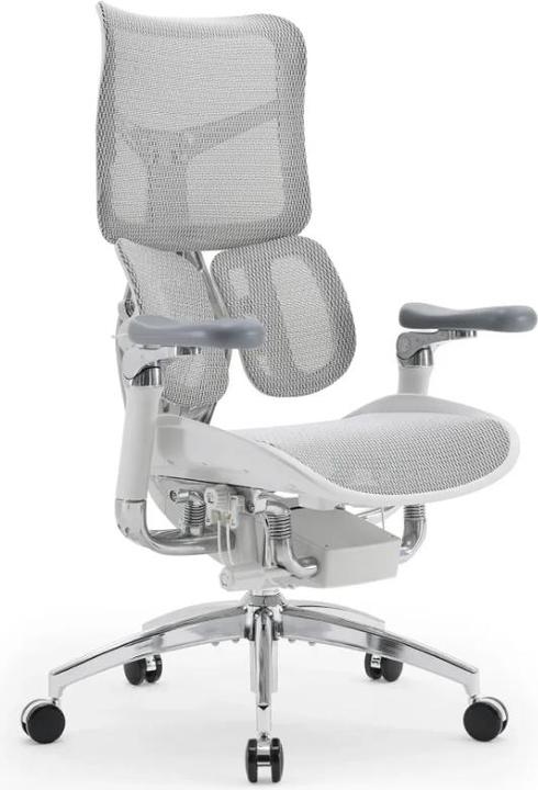 Image du produit Sihoo S300