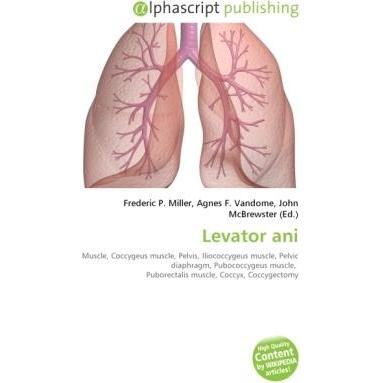 Thumbnail - Levator ani, Fachbücher