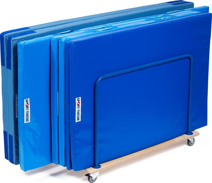 Actual product image Sport-Thieme Transport trolley Mini