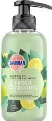 Actual product image Sagrotan FRISCH&FRUCHTIG liquid soap 300.0 ml (Liquid soap, 300 ml)