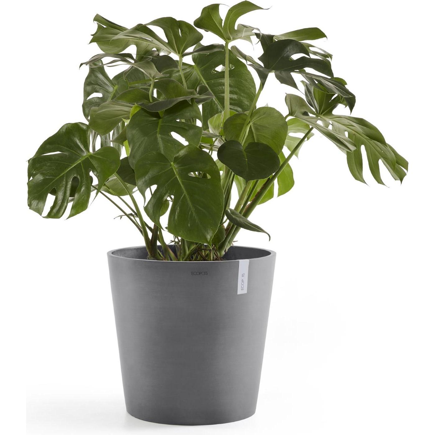 Thumbnail - Ecopots, Blumentopf, Amsterdam (60 cm)