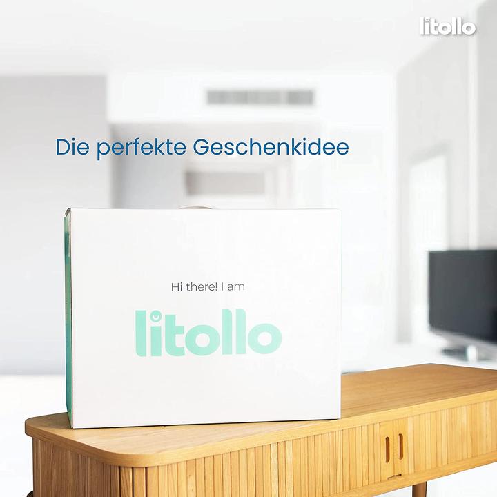 Actual product image Litollo Pregnancy pillow