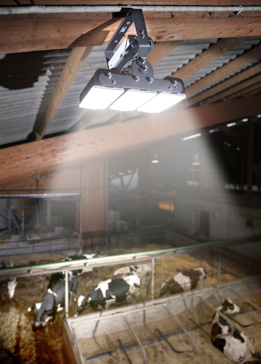 Produktbild Wetelux 150 W Multi LED Stall Leuchte, 3 Module 19.500 Lumen, IP65 / D- Kennzeichen