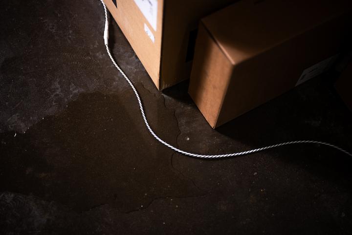 Actual product image Shelly Leak Sensor Cable