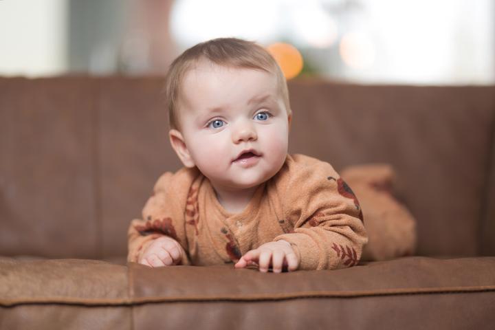 Immagine prodotto Zewi Combinazione spugna panno spugna calce stelle (56)