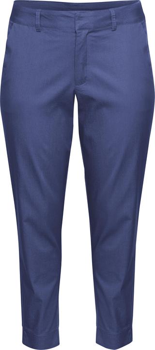 Blue Indigo