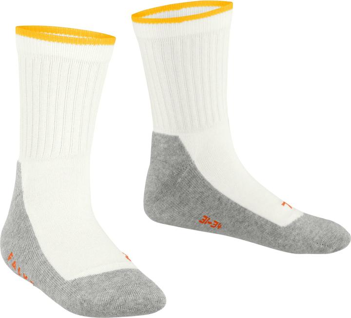 Produktbild Falke Active Everyday SO (39 - 42)