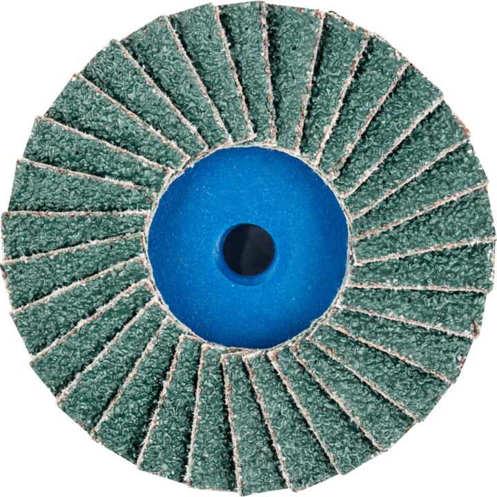 Actual product image Pferd Flap disc (40)