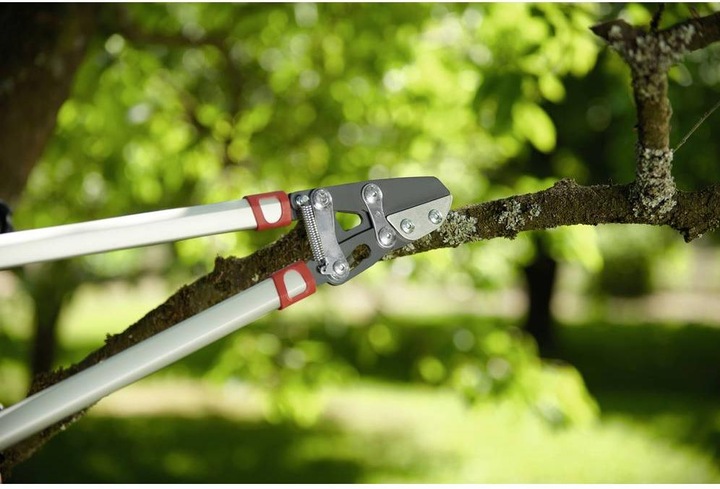 Image du produit Wolf-Garten Ciseaux à branches