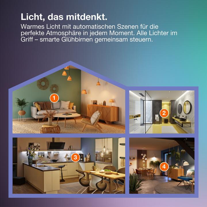 Produktbild Osram SMART+ MATTER FILAMENT CLASSIC shapes DIMMABLE 6W 827 FILAMENT DIM E27 (E27, 806 lm, 4x)