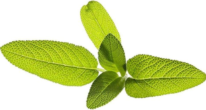 Actual product image Click and Grow Legend (Herb seeds)