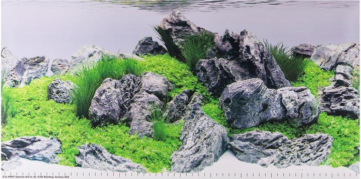 Actual product image Juwel Aquarium Photo back cover (Rear panel, other items)