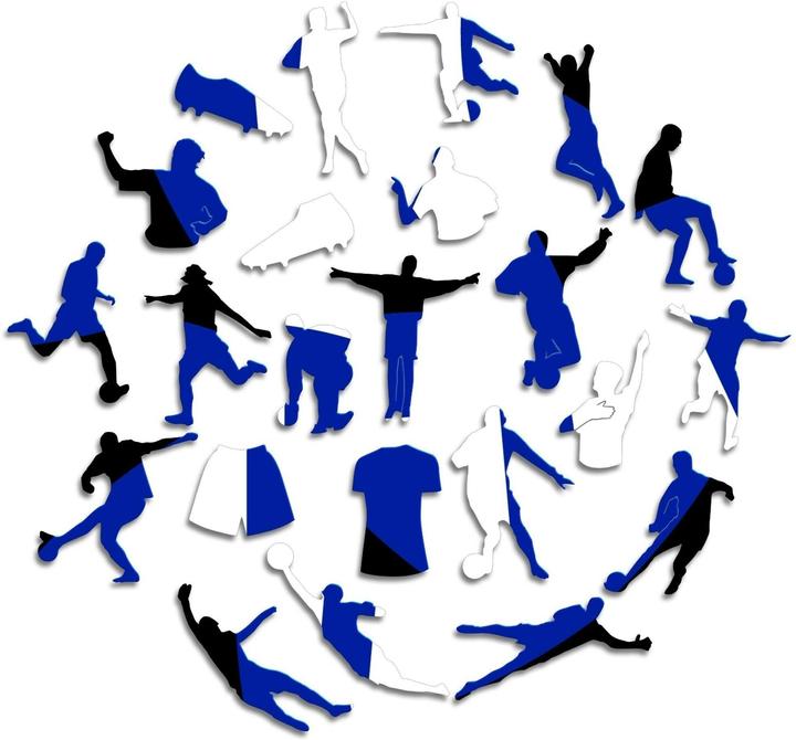 Immagine prodotto Iconic FC Inter Milan - Logo - Puzzle in Legno Taglia M (270 Pezzi) (270 pezzi)