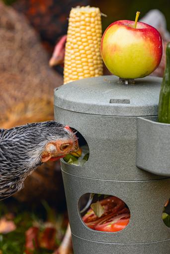 Actual product image Beeztees Feeding Station Chickens Snack Tower, Grey
