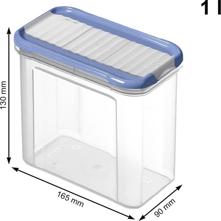 Actual product image Rotho Domino (1 l)