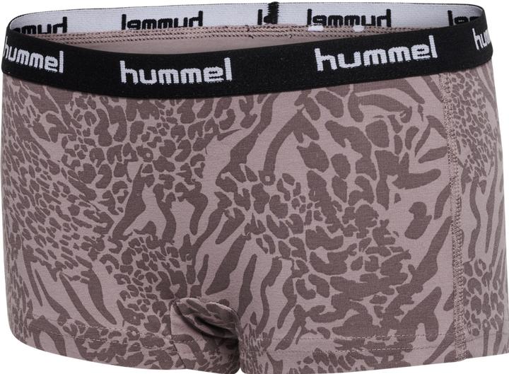 Image du produit hummel Hmlcarolina Hipsters 2pack (98, 104, lot de 2)