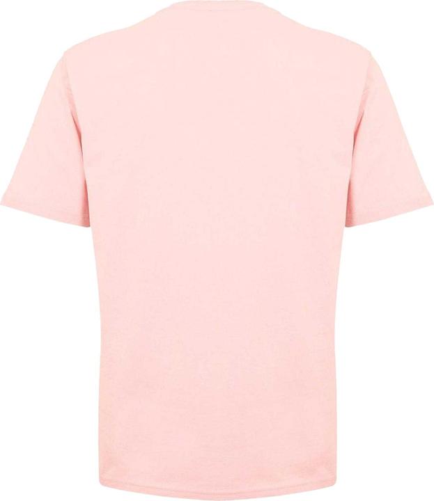 Actual product image Dickies Mens Mapleton Regular T-Shirt (L)