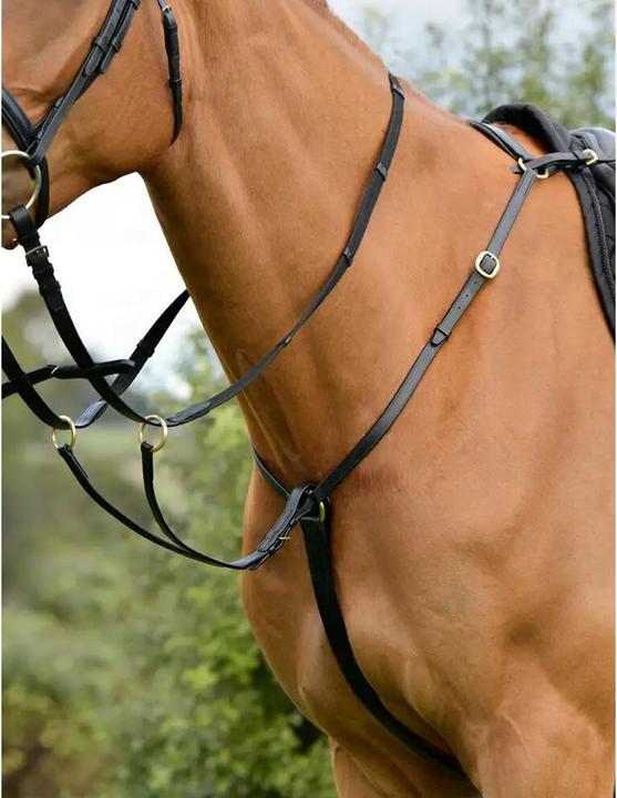 Image du produit Kincade Plastron à 3 points avec martingale de course