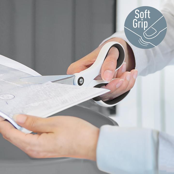 Immagine prodotto Leitz WOW Titanio (20.50 cm)