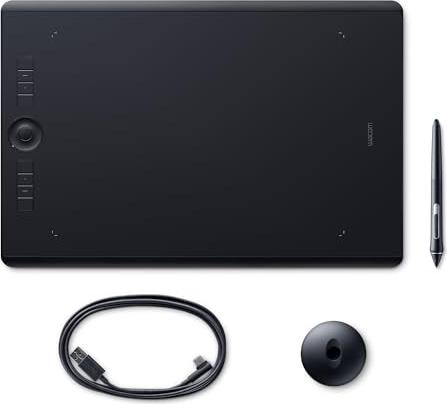 Image du produit Wacom Intuos Pro L (14", 5080 lpi)