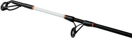 Actual product image Shimano Beastmaster AX Catfish Lure 150g (Allround rod, 240 cm)