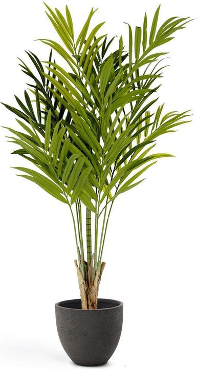 Kave Home Palmera (179 cm)