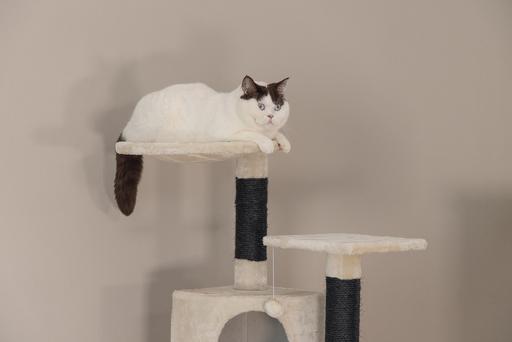 Actual product image Beeztees Bz cat tree Dominjo (123 cm, Black, Beige)