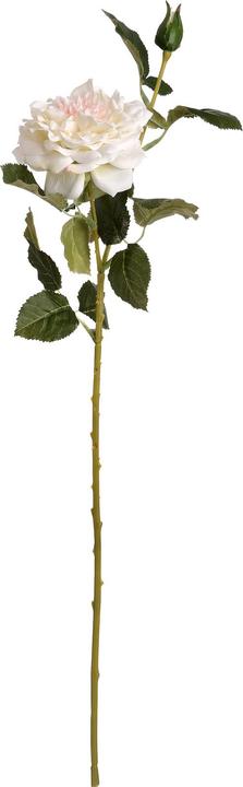 Produktbild Hill Interiors Kunstblume Gartenrose (68 cm)