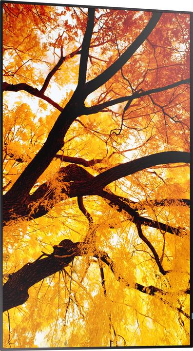 Actual product image NEC Sharp Large Format Display M552 (3840 x 2160 Pixels, 55")