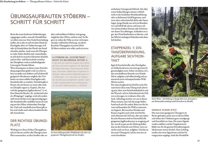 Actual product image Kosmos Jagen mit Stöberhunden (German, Hannah Mittner, Jonathan Mittner, 2025)