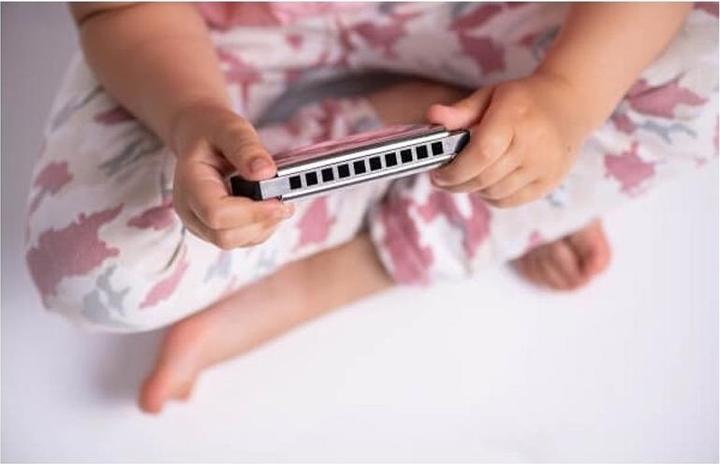 Actual product image Boogie Bee Harmonica (German, French, Dutch, Italian)