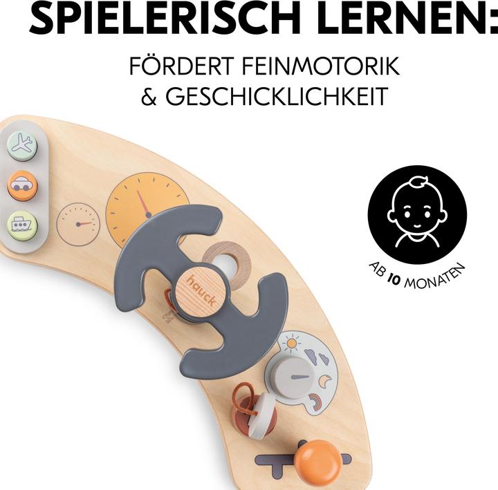 Actual product image Hauck Play Cockpit