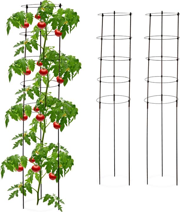 Immagine prodotto Relaxdays 3x supporto per l'arrampicata (28 cm, 28 cm)