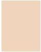 Actual product image Sisley Phyto-Poudre Compacte (1 Rosy)