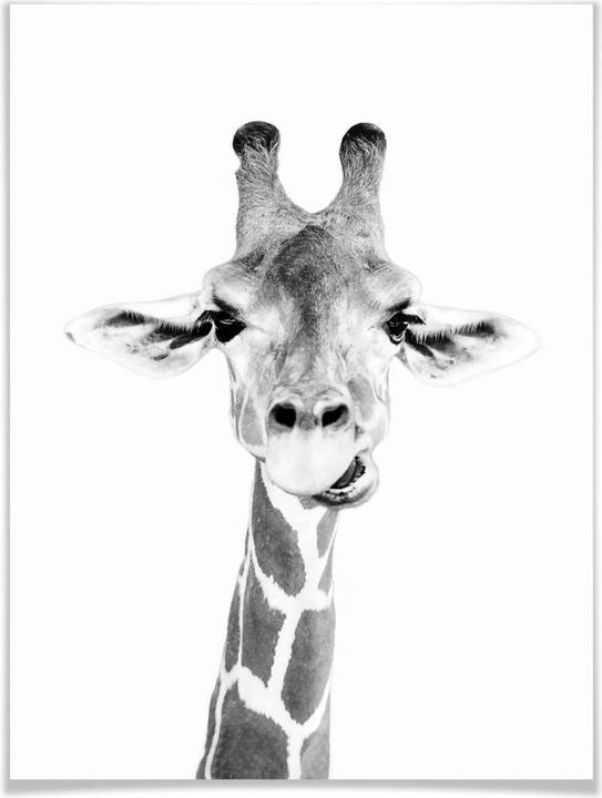 Produktbild Trenddeko Happy Giraffe (40 x 50 cm)