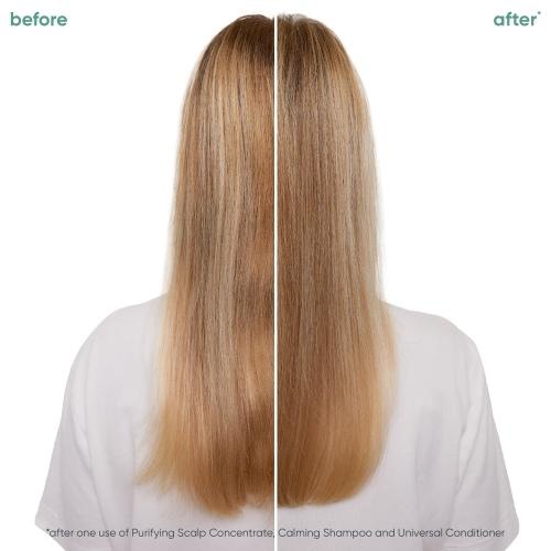 Produktbild Biolage Beruhigendes Shampoo für alle Haartypen mit fermentiertem Tee und Glykolsäure 250ml (250 ml, Flüssiges Shampoo)