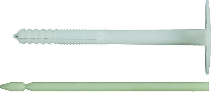 Actual product image Fischer Putzdübel DIPK 10/140-160 (200 pcs.)