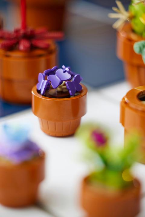 Immagine prodotto LEGO Mini piante (10329, LEGO Icons, LEGO Botanical)
