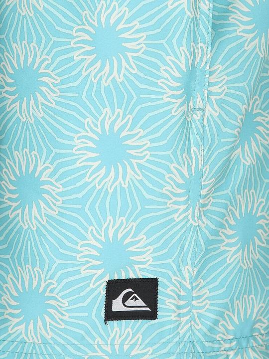 Produktbild Quiksilver Badeshorts Eeveryday Printed Volley 15 (L)