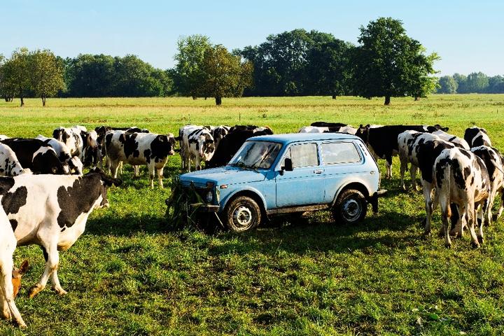 Produktbild Tschick (DVD, 2016, Deutsch)