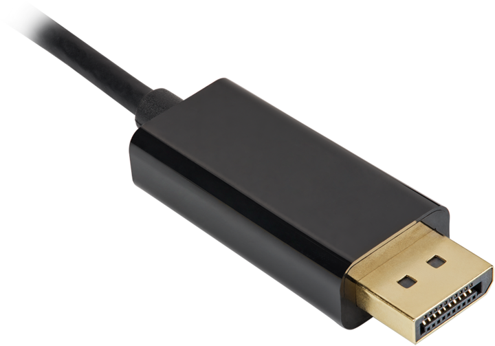 Immagine prodotto Corsair DisplayPort – USB C (1 m, DisplayPort)