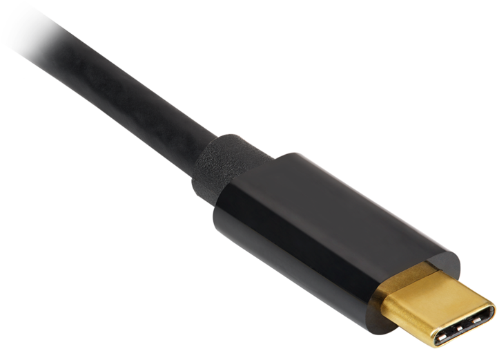 Immagine prodotto Corsair DisplayPort – USB C (1 m, DisplayPort)