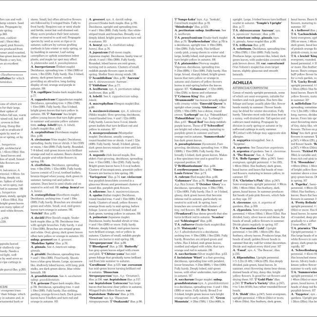 Immagine prodotto RHS Encyclopedia Of Plants And Flowers (Inglese, Christopher Brickell, 2019)