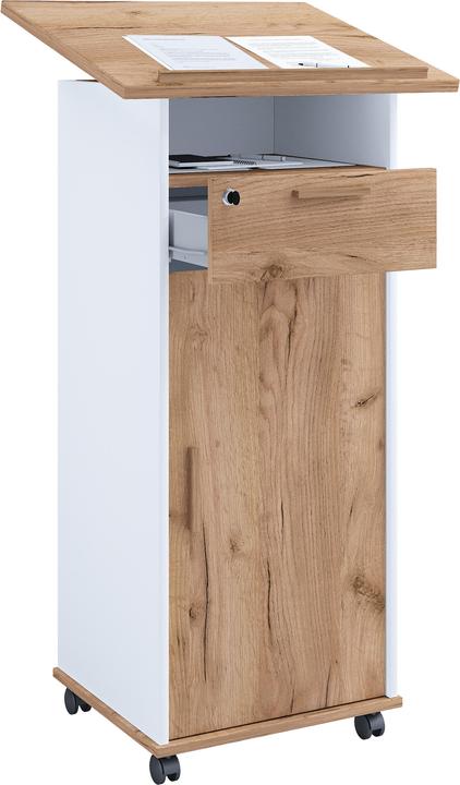 Actual product image VCM Wooden Standing Desk Lectern Castors Melta T (60 x 120 x 50 cm)