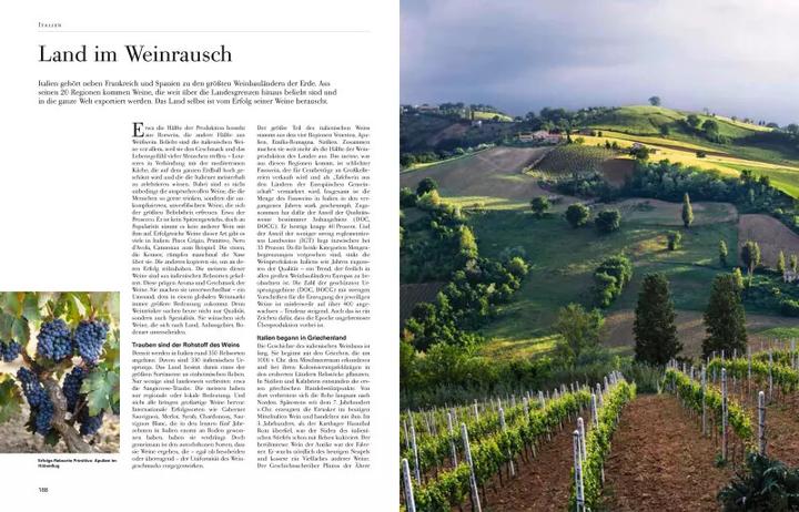 Produktbild Wein (Deutsch, Jens Priewe, 2017)