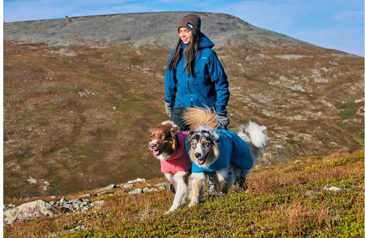 Actual product image Hurtta Expedition Parka II, ocean 60 (60, Dog coat)