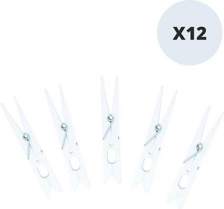 Actual product image MSV Feb