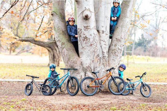 Actual product image Rascal Bikes Rascal 20 (20")