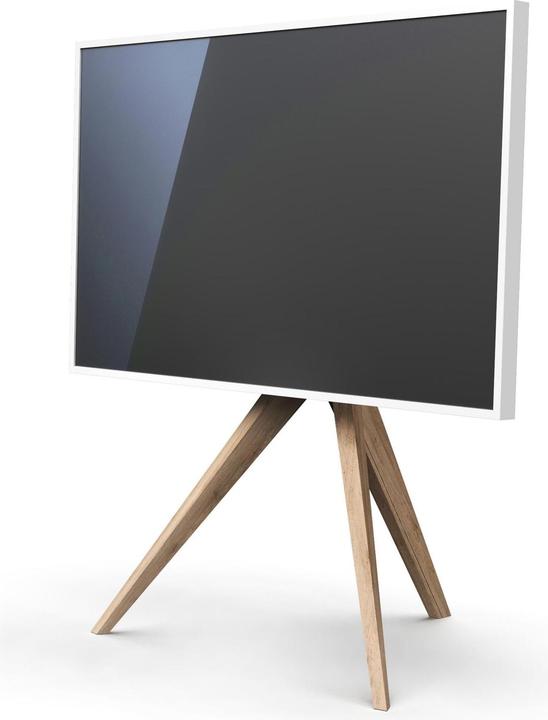 Immagine prodotto Spectral Tipo AX30-RON (65", 40 kg)